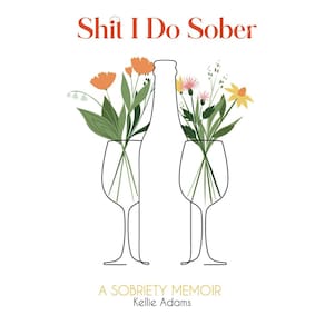 Shit I Do Sober: Um livro de memórias de sobriedade