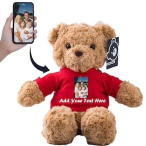Brinquedo de pelúcia de urso de pelúcia personalizado 33 cm