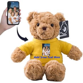 Brinquedo de pelúcia de urso de pelúcia personalizado 33 cm