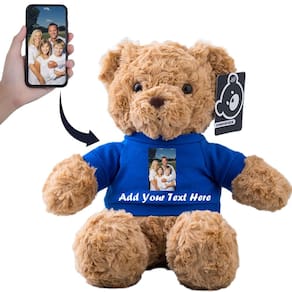 Brinquedo de pelúcia de urso de pelúcia personalizado 33 cm