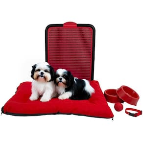 Kit Pet Pequeno Cama Futon Sanitário Comedouros Coleira Bola