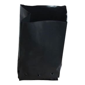 Saco Plástico Para Mudas Preto 15 X 20 X05Cm 1.000 Unidades