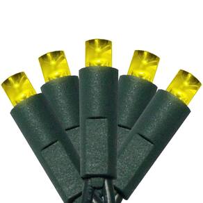 Luzes de Natal Everfit Lighting Listed UL 50 5MM LED