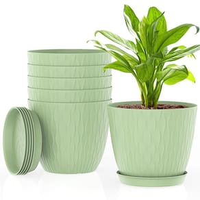 Vasos para plantas UOUZ, pacote com 6, 15 cm com orifícios de drenagem e pires verdes