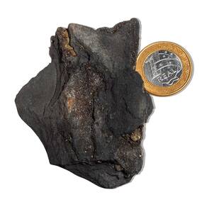 Shungite com Pirita Incrustada Pedra Bruto 75 a 100g 80mm