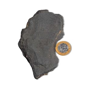 Shungite com Pirita Incrustada Pedra Bruto 200 a 250g 100mm