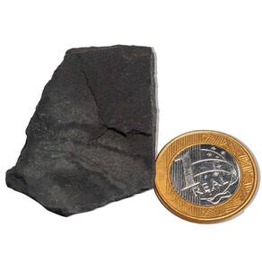 Shungite com Pirita Incrustada Pedra Bruto 25 a 50g 55mm