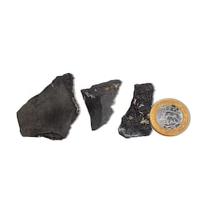 Kit 3 Shungite com Pirita Incrustada Bruto 25 a 50g 30mm