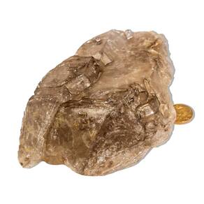 01 Elestial Jacaré Pedra Natural 600 a 700g 9 a 15cm Tipo A