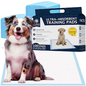 Almofadas de treinamento para filhotes American Kennel Club 100 unidades de limão