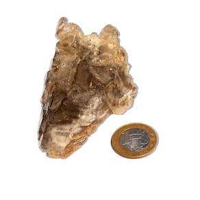 Elestial Jacaré com Mica Pedra Natural 182g 8,5cm Tipo A