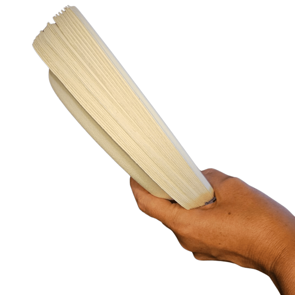 Prato biodegradável para sobremesa