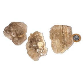 01 Elestial Jacaré Pedra Natural 200 a 250g 6 a 9cm Tipo C