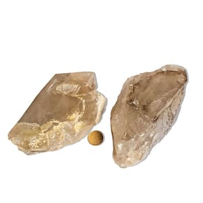 01 Elestial Jacaré Pedra Natural 700 a 800g 9 a 15cm Tipo C