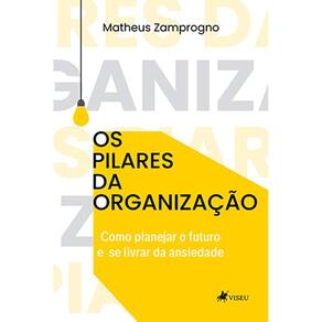 Os pilares da organização: Como planejar o futuro e se livrar da ansiedade 2ed.