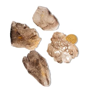 01 Elestial Jacaré Pedra Natural 50 a 100g 4 a 7cm Tipo B