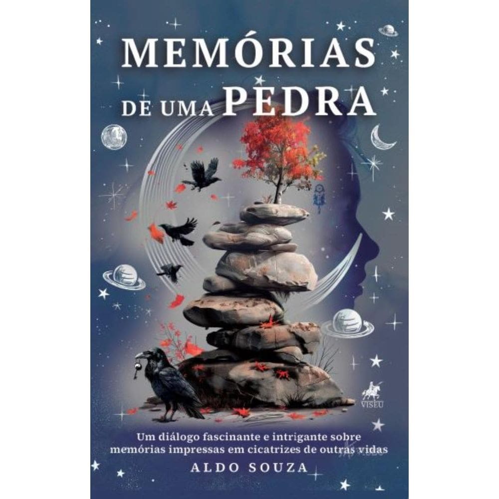 Memórias de uma pedra: Um diálogo fascinante e intrigante sobre memórias impressas em cicatrizes de outras vidas
