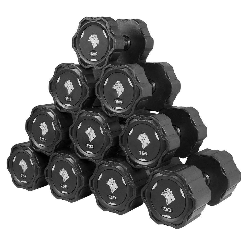 Jogo De Dumbbells Kit 12 A 30kg Lion Monobloco Aço Injetado