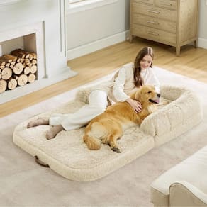 Cama dobrável para cães humanos para pessoas e adultos com creme de tapete