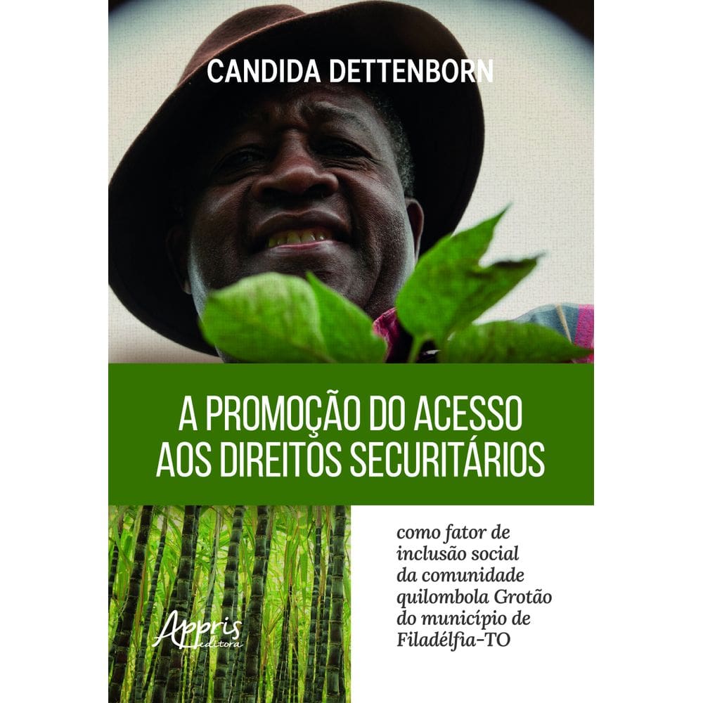 Acesso aos Direitos Securitários Como Fator de Inclusão Social