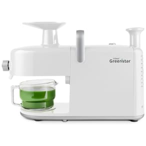 Centrifuga de Frutas em Aço Inoxidável com Duplo Mastigador, Caixa de Limpeza Fácil, Ferramenta de Limpeza de Tela e Jarro de Vidro, 110V