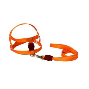 Coleira Peitoral Neon Para Cães Tradicional 15Mm Laranja Nº1