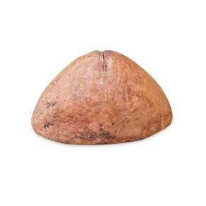 Fava Chápeu de Napoleão Equilibrio de Energias Unidade