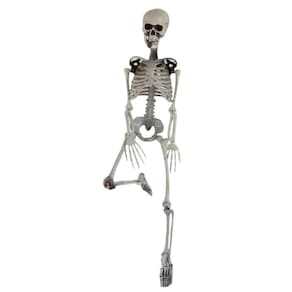 Decoração Halloween Esqueleto Articulado - 90cm