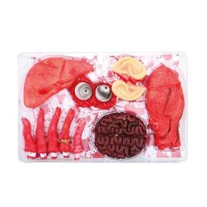 Decoração Halloween órgãos Com Sangue - 12 Itens