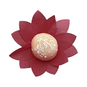 Forminha Para Doces Finos Marsala Magic - 50 Un