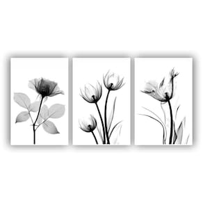 Kit Quadros 3Peças 60X40 Flores Cinza Preto E Branco