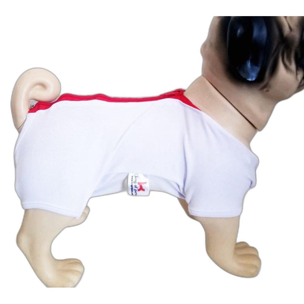 Roupa Pós Cirúrgica Pet 05