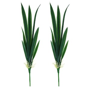 Jogo 2 Folhagens de Orquídea 3D 58cm 10 Folhas com Raiz Prime - MC Flores