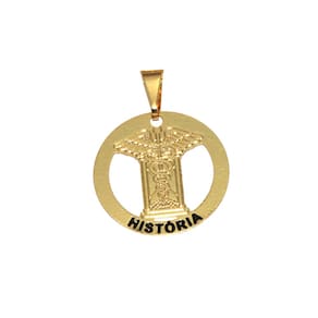 Pingente Minha Profissão Historia Folheado Ouro 18k