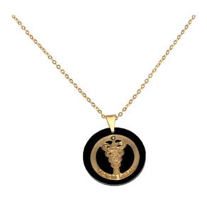 Colar Cordão Fisioterapia Fisioterapeuta Folheado Ouro 18k