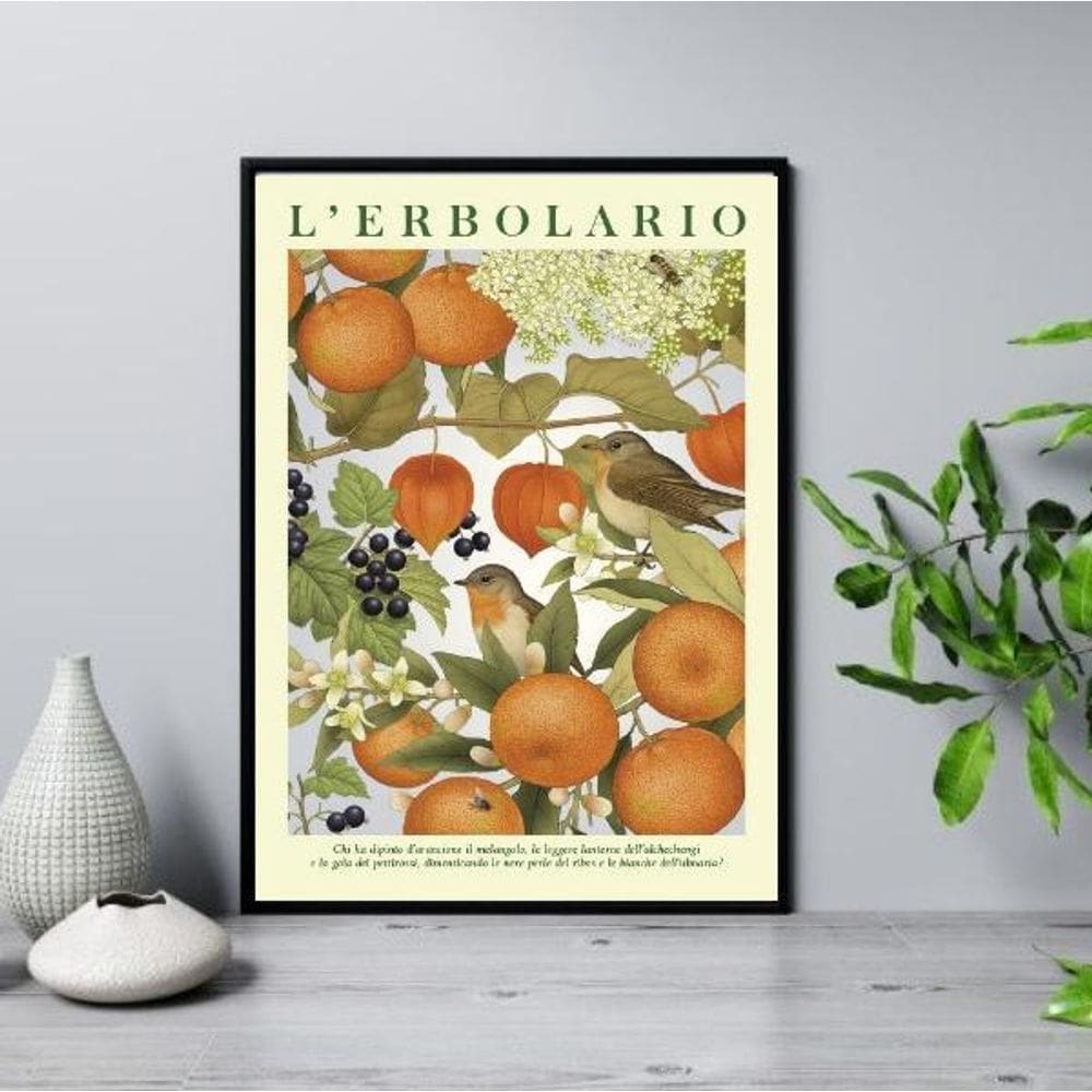 Quadro Poster Passarinhos Com Frutas 33X24Cm - Com Vidro