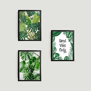 Kit 3 Quadros Folhagens Good Vibes Only 24X18Cm
