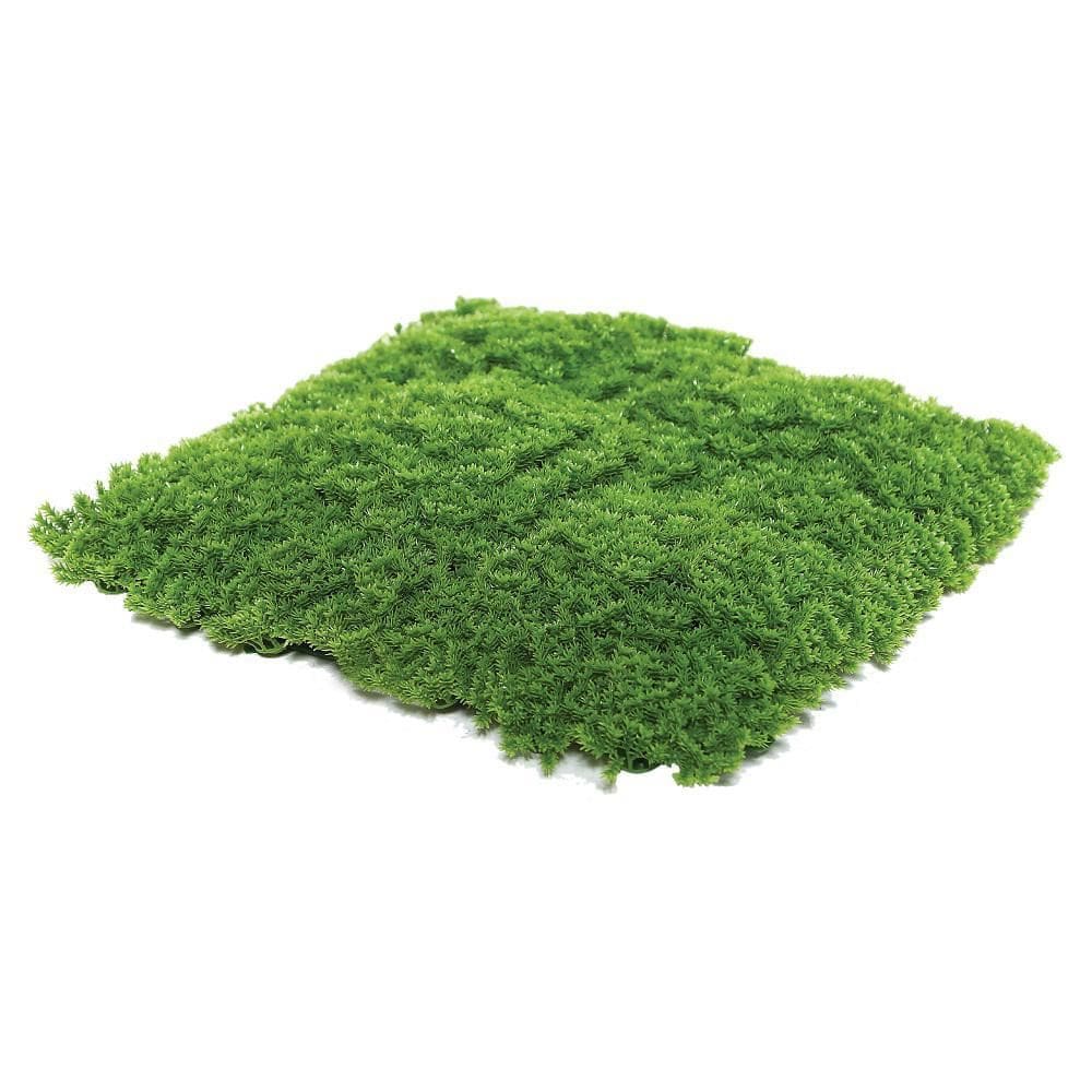 Painel Verde Primavera Musgo Gg062A