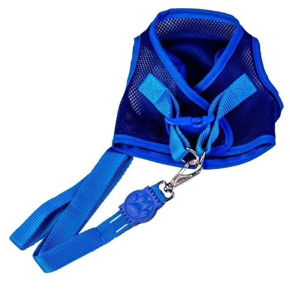 Coleira Para Cães Colete Aerado Azul Eg