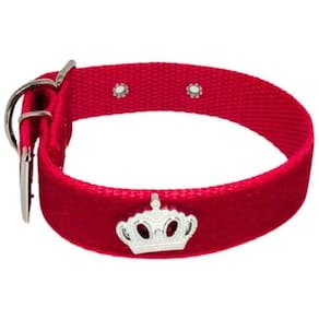 Coleira Camurça Aplique 25Mm Cachorro Nicapet Cor Vermelha