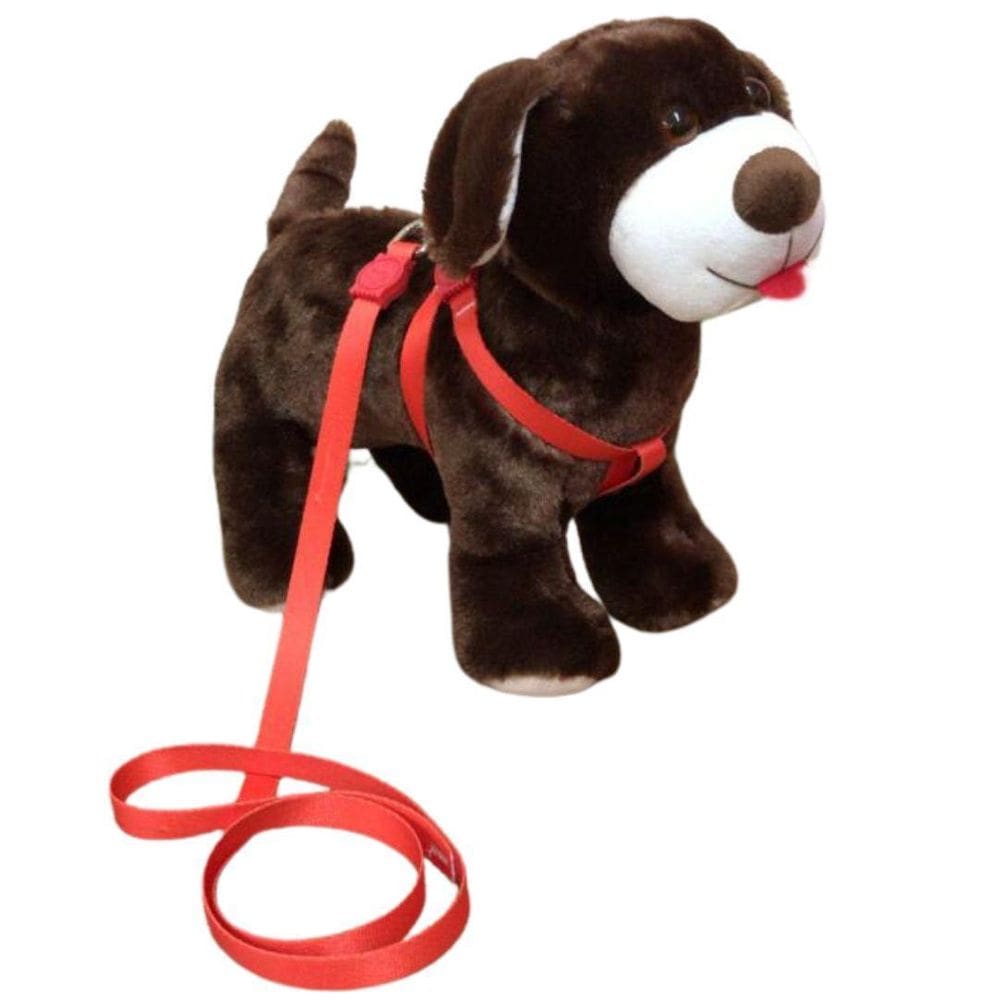 Coleira Peitoral Para Cachorro - Laranja Nº 1