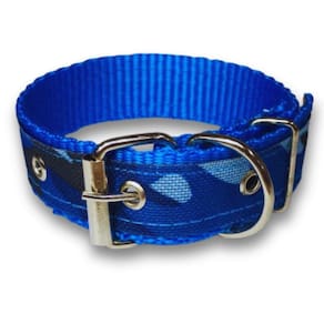 Coleira Xadrez 25Mm Para Cachorro Nicapet Azul Nº 7