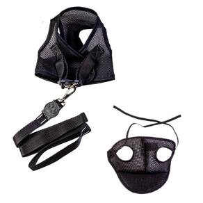 Kit Boné E Coleira Peitoral Com Guia Aerado Preto Pp