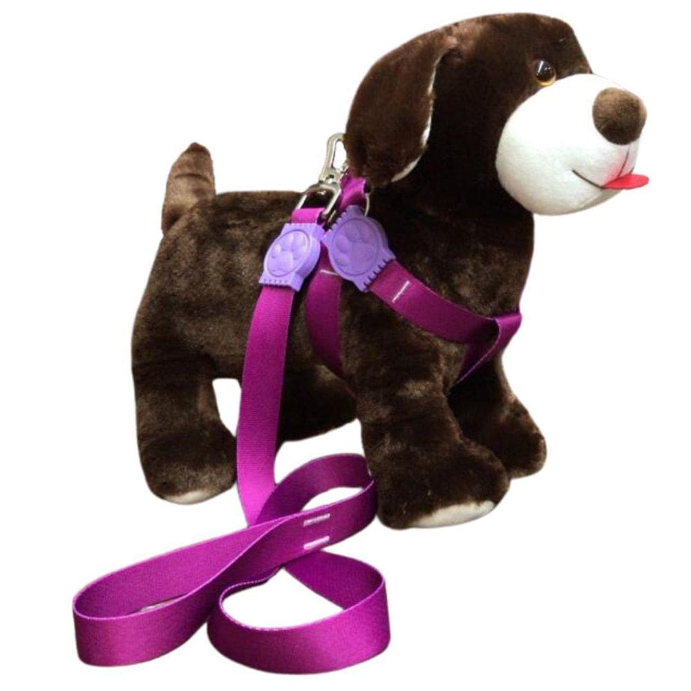 Coleira Peitoral Americano Premium 25mm Roxo Nº 6 - Nicapet