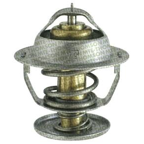 Valvula Termostatica Ford 1722 1731 Vw 14210 Mte 302/82