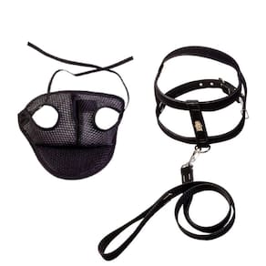 Kit Coleira Peitoral Com Aplique E Boné Para Cachorros - N03