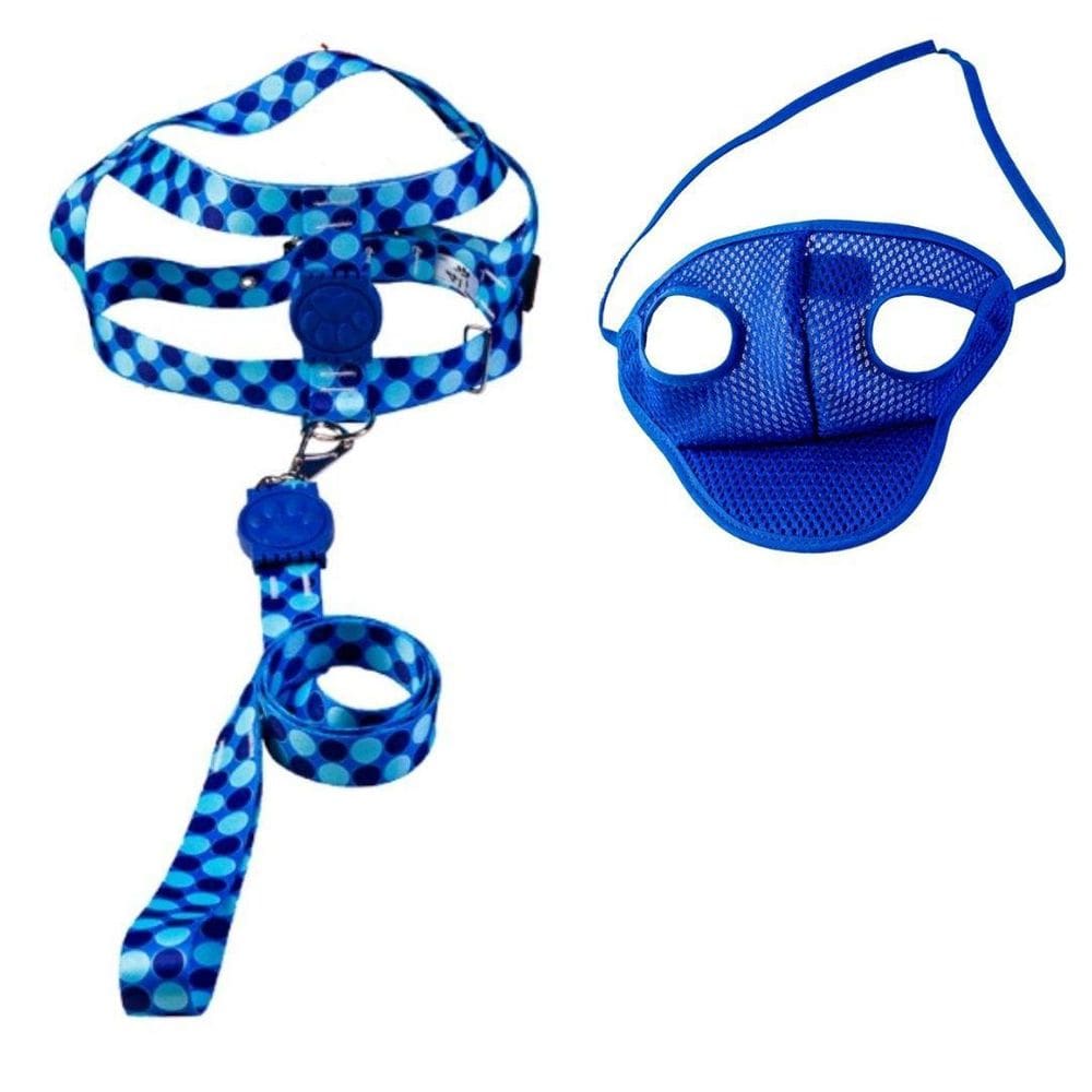 Kit Boné E Coleira Peitoral Para Cães E Gatos Nº3 - Azul