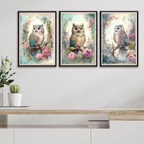 Kit 3 Quadros Decorativos Coruja Vintage 45X34Cm - Com Vidro