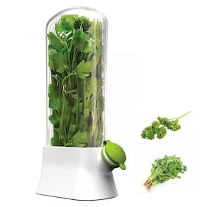 Dispenser Recipiente de Ervas Frescas Geladeira Conserva Hortela Salsa Coentro Vegetais Legumes