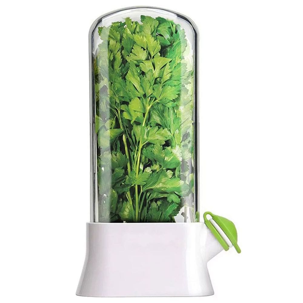 Herbario Conserva Ervas Frescas Recipiente Geladeira Hortela Salsa Coentro Alecrim Vegetais Legumes